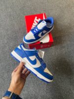 Nike Jordan Dunk Low Mavi