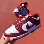 Nike Jordan Dunk Low Bordo