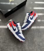 Niike Jordan Low Rio